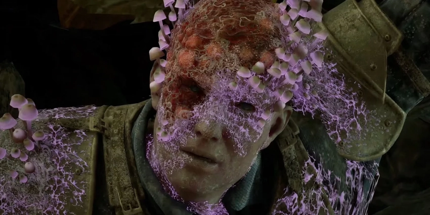 Avowed стала для авторов Fallout: New Vegas и The Outer Worlds «эволюцией» прошлых игр