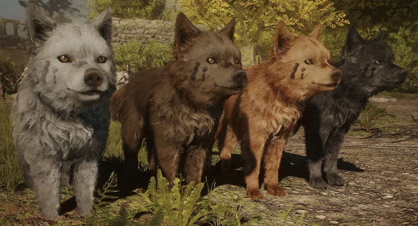 Создатели MMO Soulframe показали волка-компаньона и социальный хаб