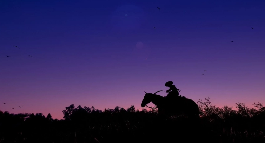 В первый крупный патч Assassin's Creed Shadows войдут улучшения лошади и торговцев